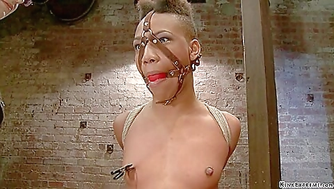 Ebony bitch sucking and fucking her white lover on a hogtie